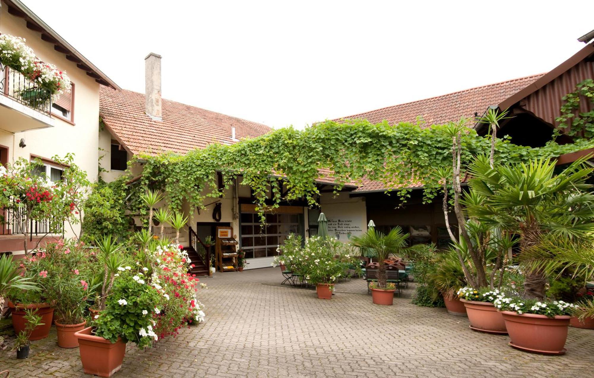Weingut Und Gaestehaus Vongerichten Oberhausen  Luaran gambar